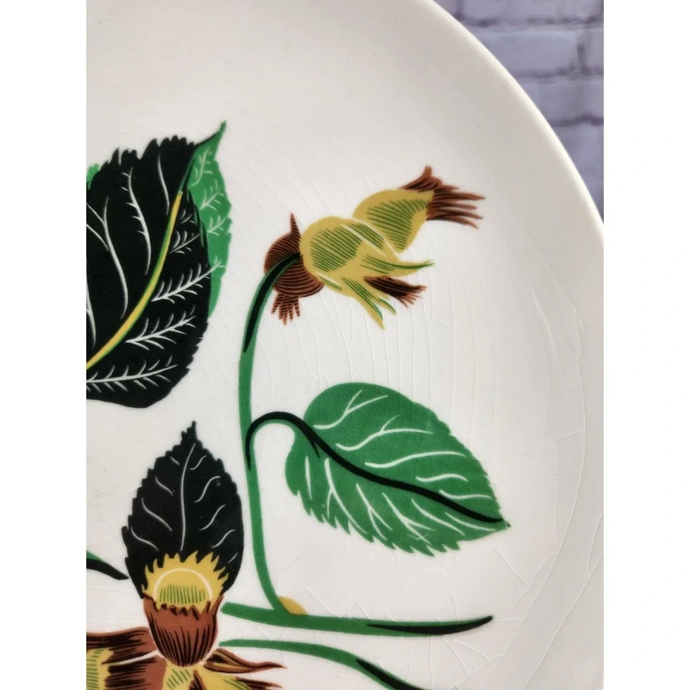 Ballerina China Hazelnut Potteries Leaves & Nuts Set of 8 Dinner Plates